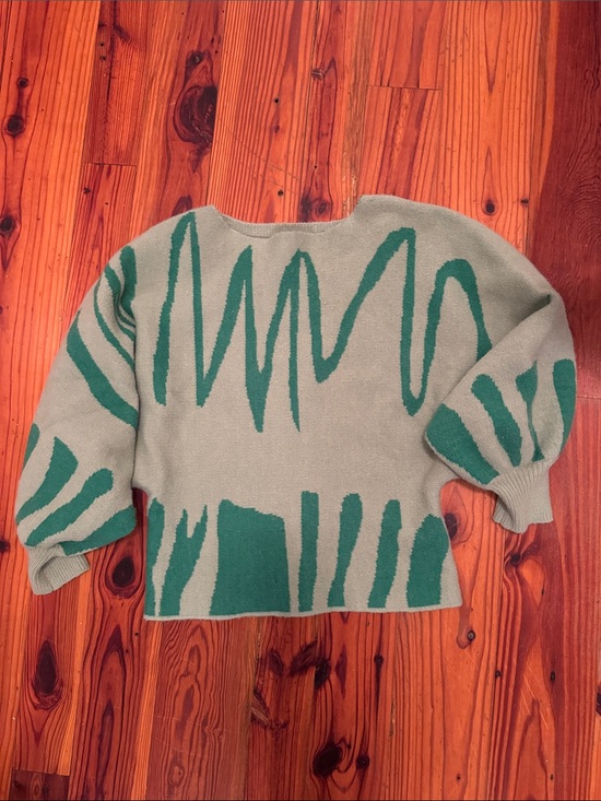 SHEIN Sweaters - SHEIN Mint Green Knit Sweater with Dark Green Accents